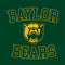 Baylor University Bears Mascot Xbox 360 (Includes HDD) Skin